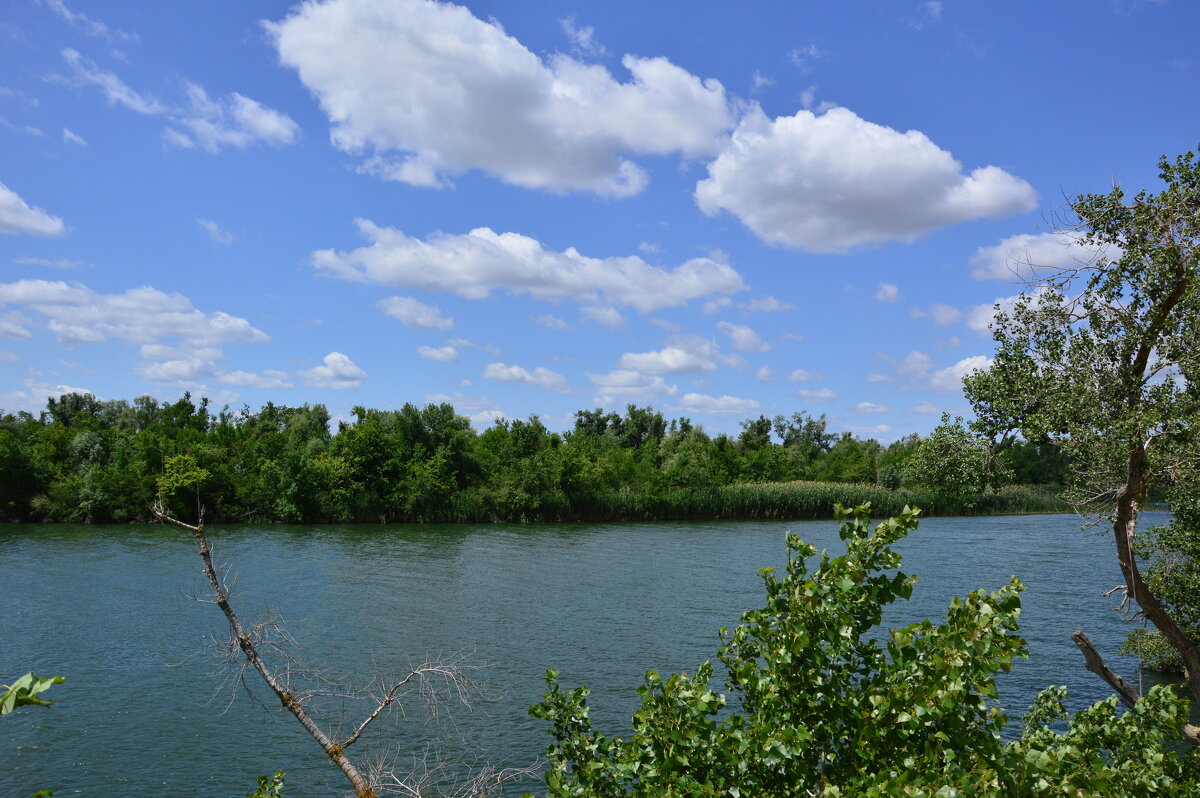Местная река. - Виктор 