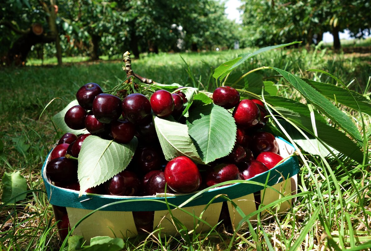 ... - Галина ... - Галина