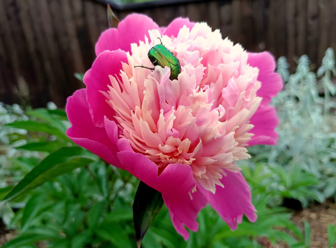 Яркий - Мария Васильева