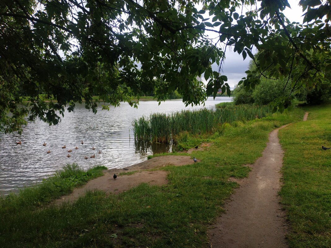 Июль уж наступил! - Андрей Лукьянов