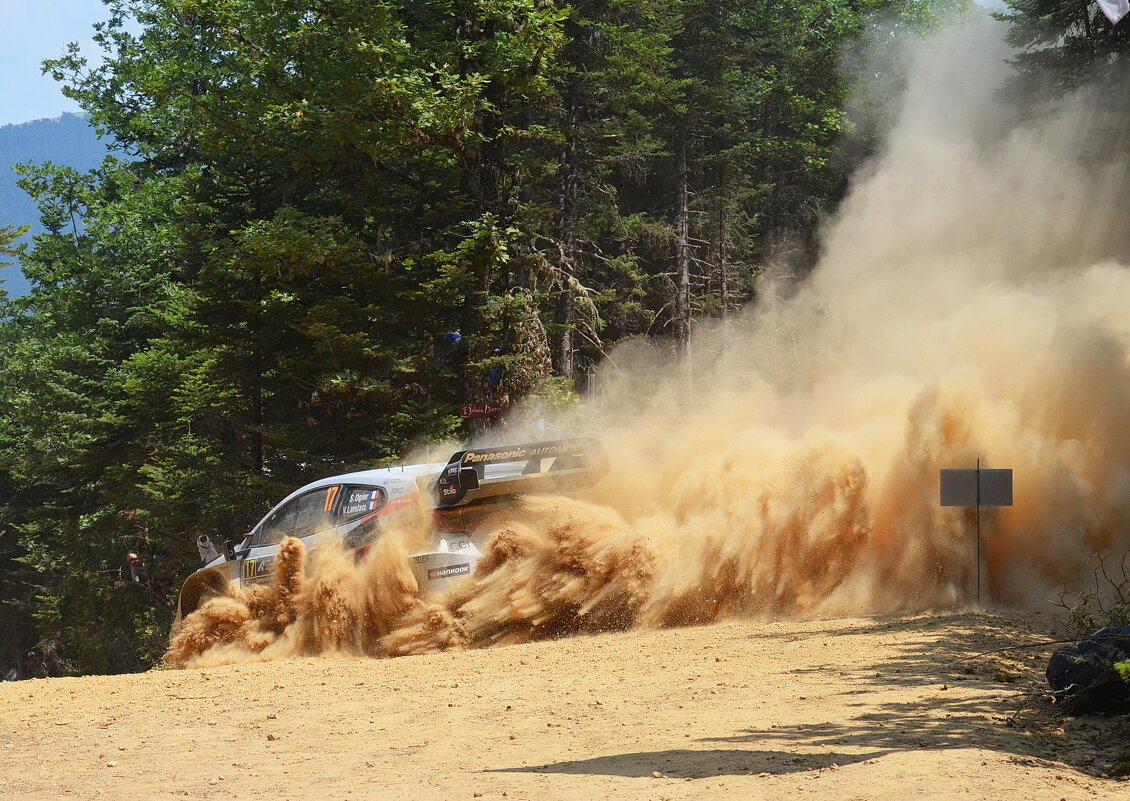 Ралли. - Оля Богданович