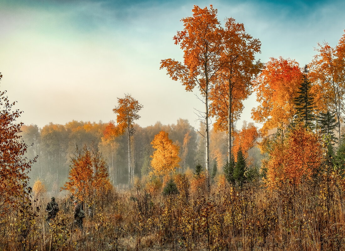 на охоте.утро - александр 