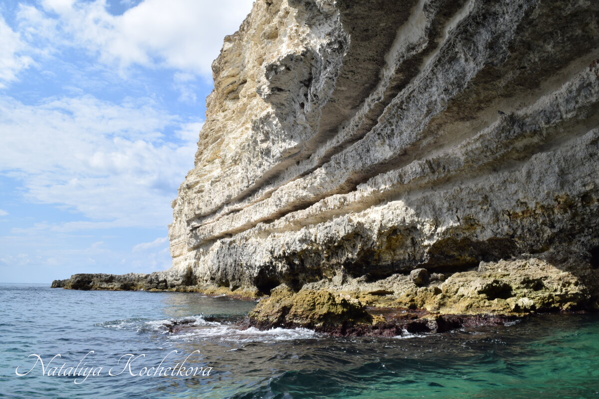 Природа Крыма - Amazing Cosmea