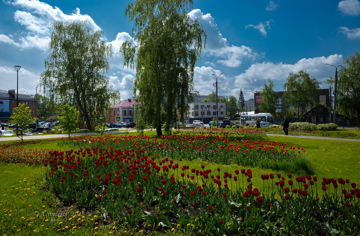 На улице города - Александр Синдерёв