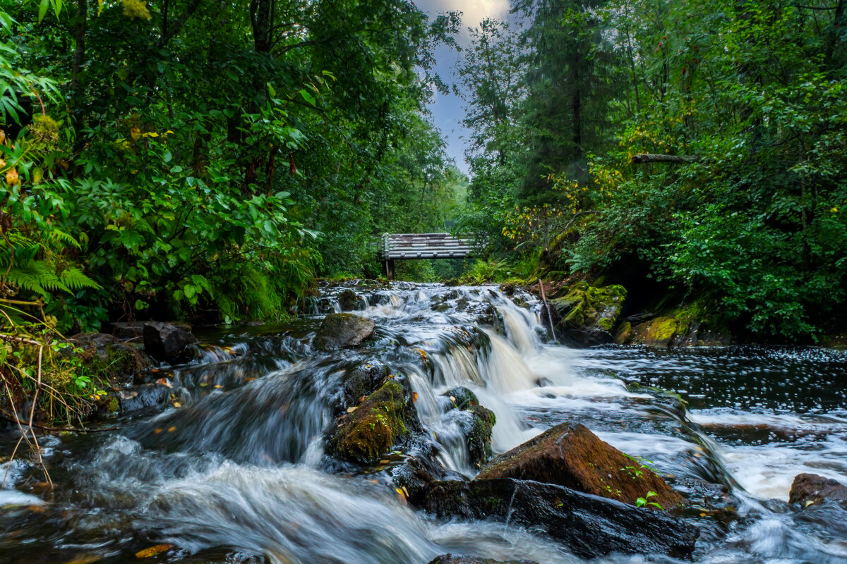 Белые мосты - Павел Спиваков 