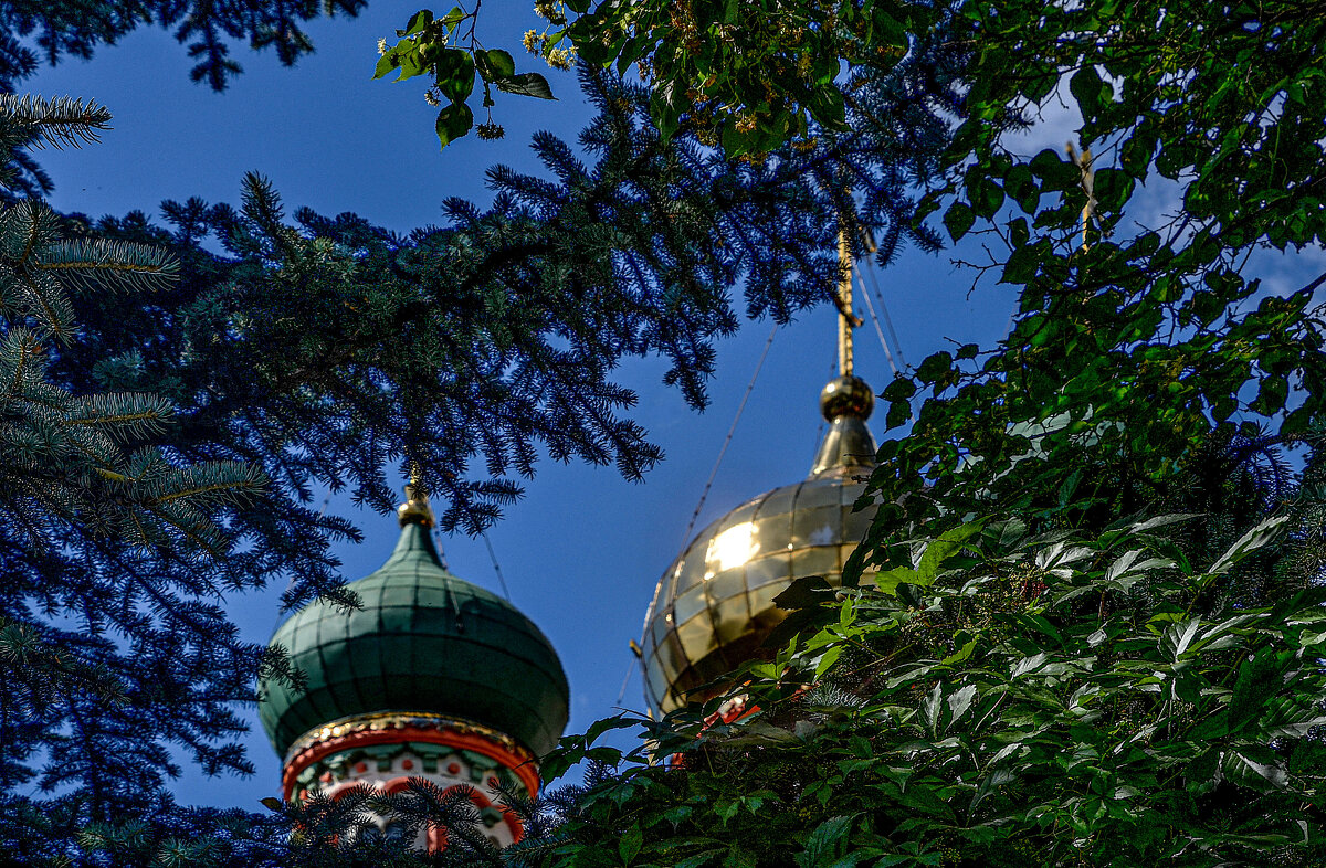 Купола Воскресенской церкви. с. Колычево - Oleg4618 Шутченко