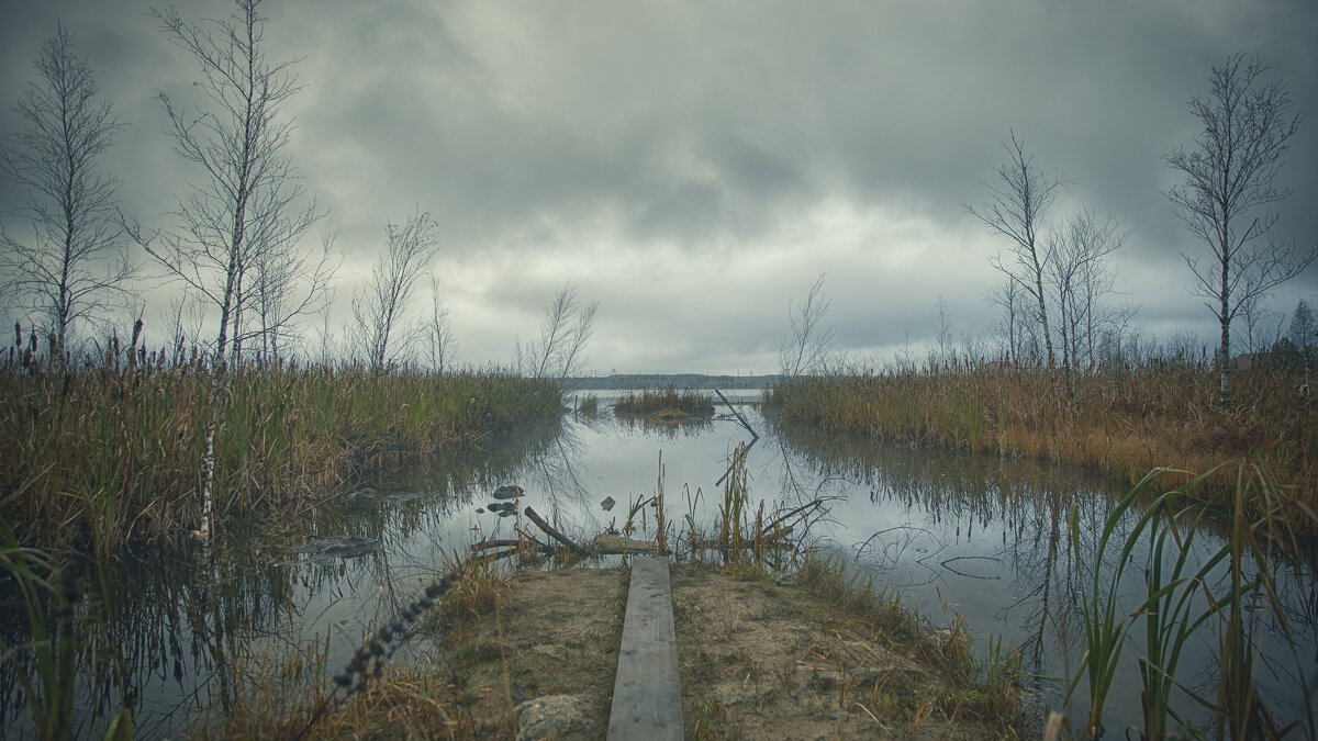 озеро - Андрей Выровой