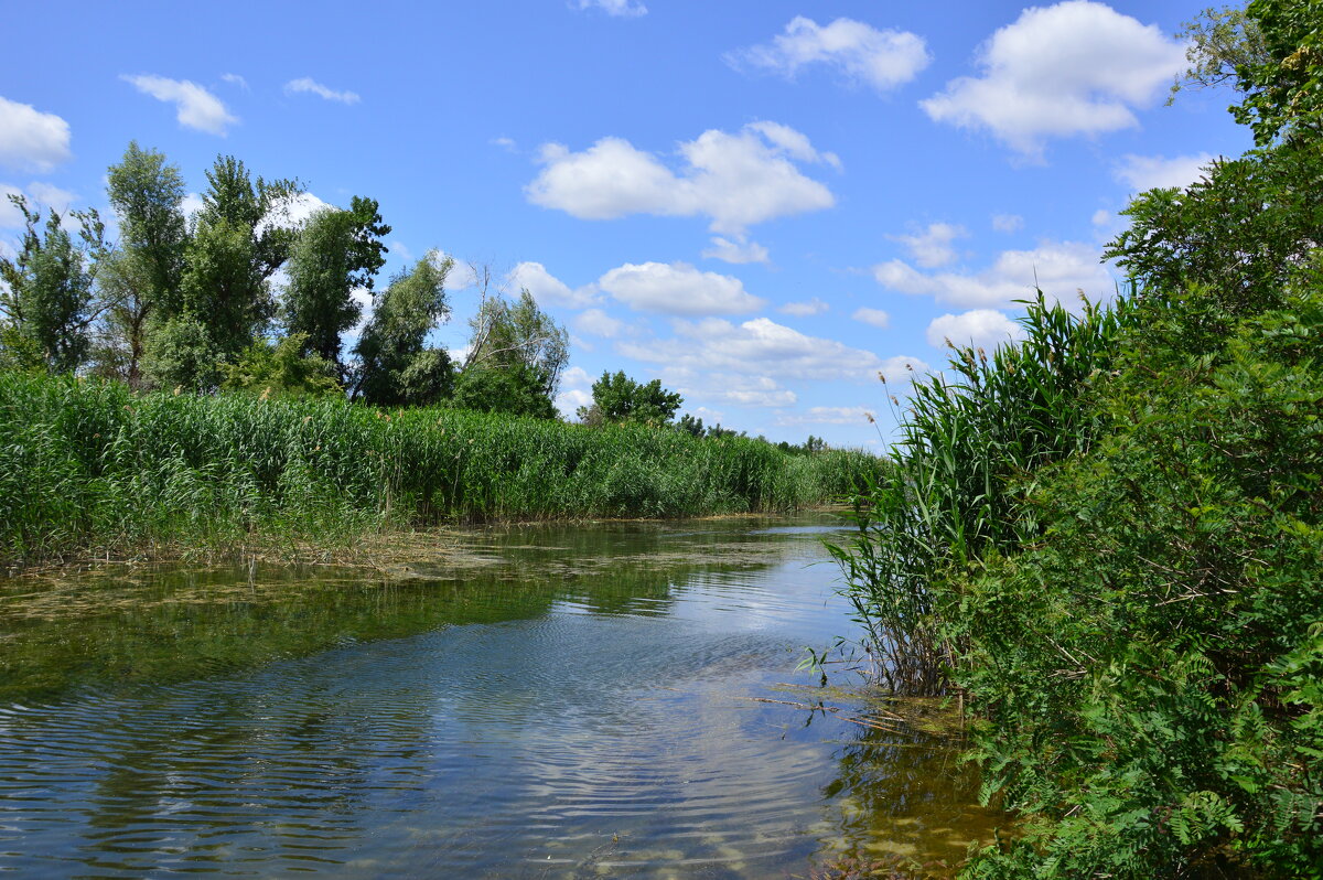 У реки. - Виктор У реки. - Виктор