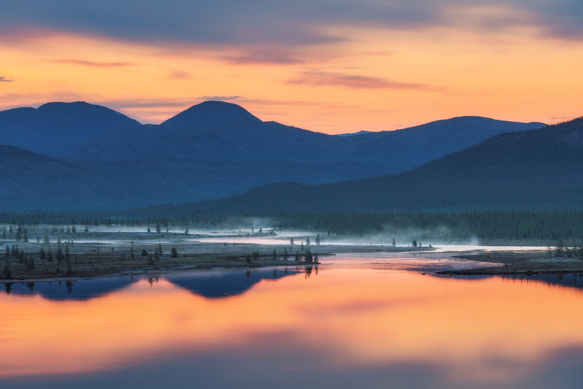 Светает - Дмитрий Шишкин