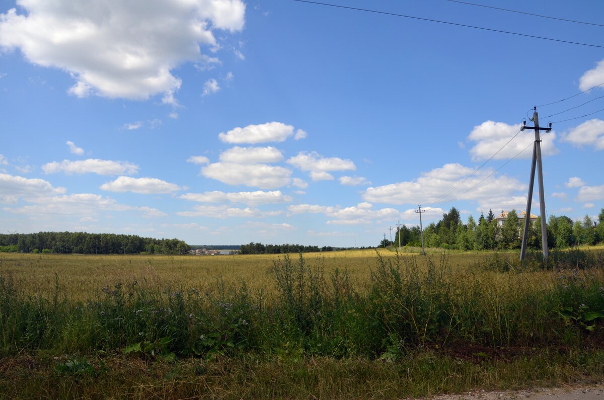 Подмосковные просторы - Oleg4618 Шутченко