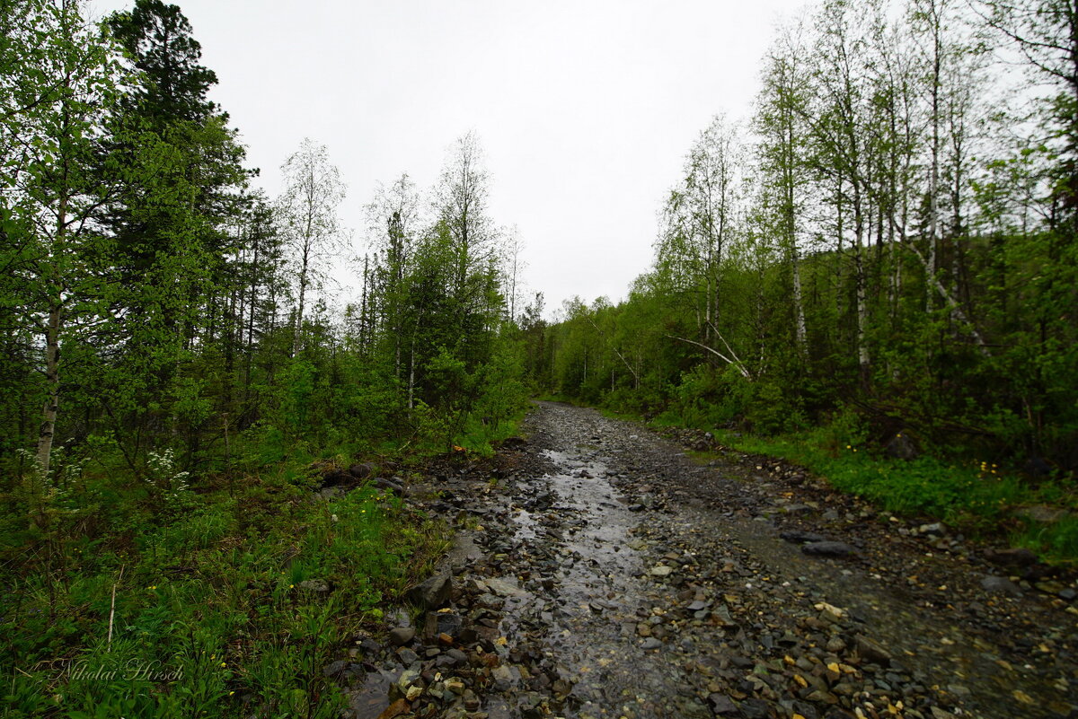 Ручеёк таёжный... - Николай Гирш