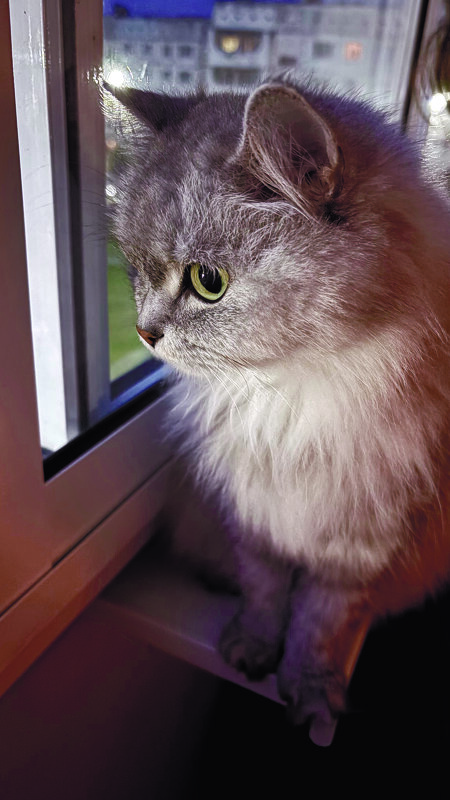 * - Иннокентий Авдонин