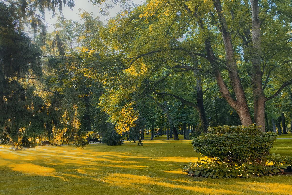 В парке вечекром - Василий Королёв