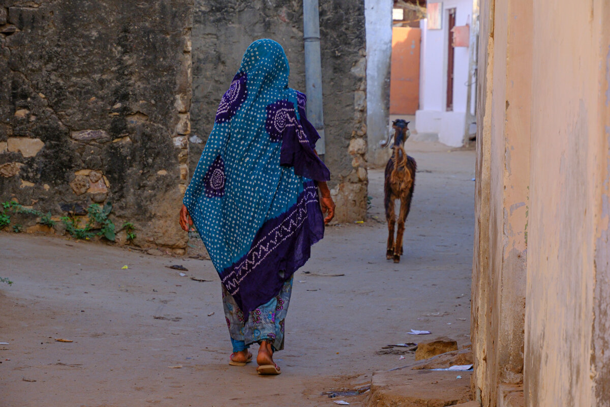 Назад домой....за животным - Георгий А