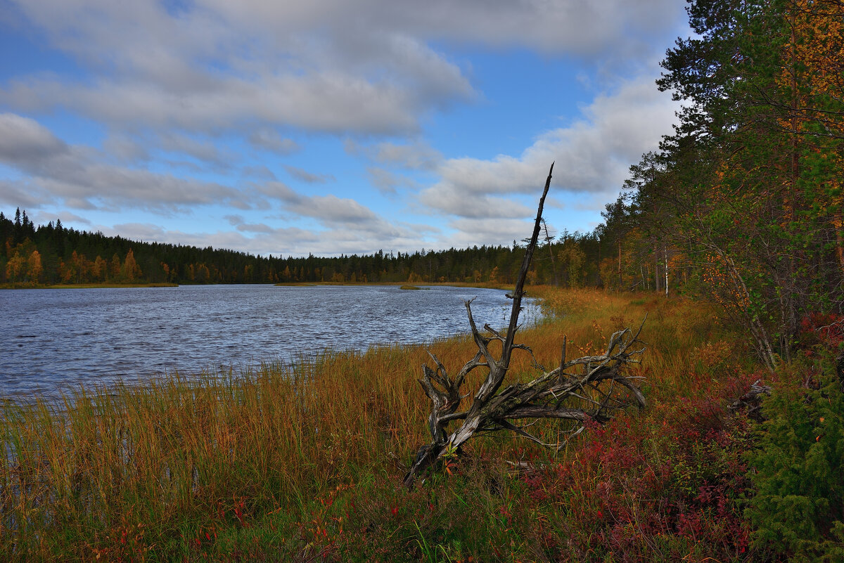 Река Писта - Александр Хаецкий
