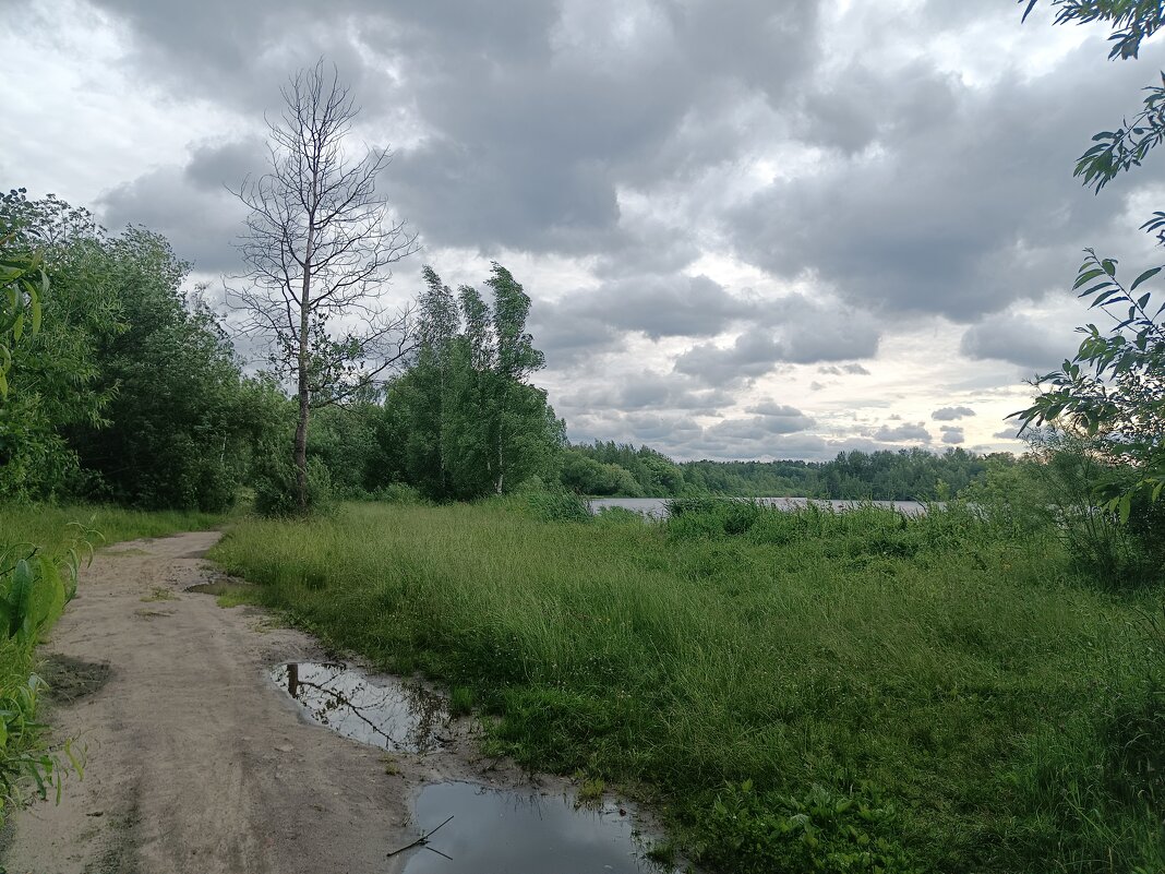 Пасмурное лето - Леонид Иванчук