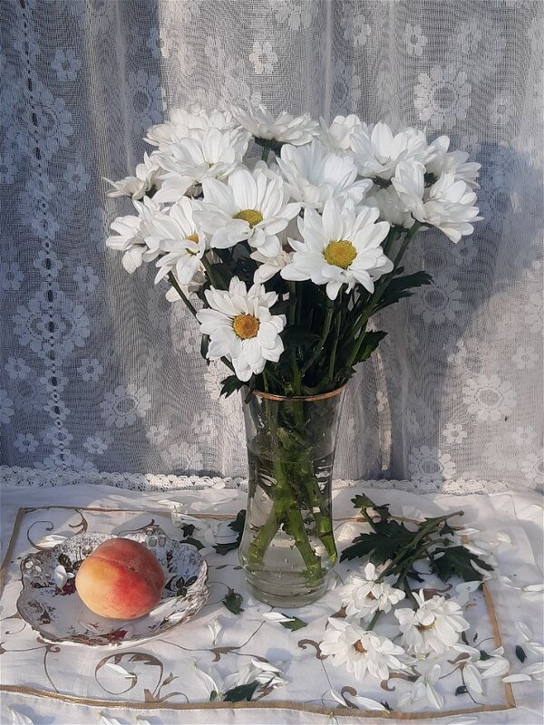 Солнечный день лета! - Нина Андронова