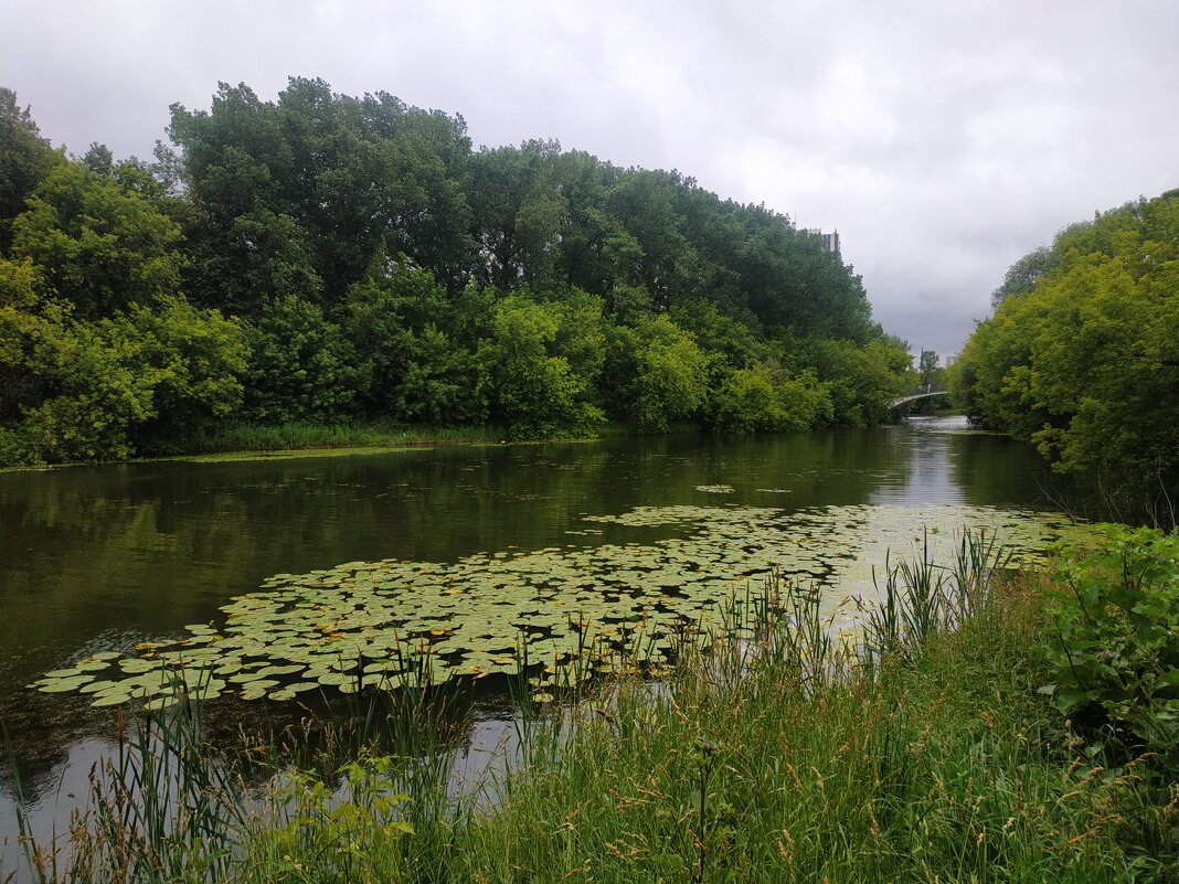 Июль наступил. Осталось дождаться наступления лета - Андрей Лукьянов Июль наступил. Осталось дождаться наступления лета - Андрей Лукьянов