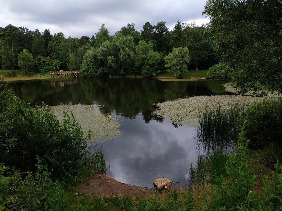 Июль наступил. Осталось дождаться наступления лета - Андрей Лукьянов