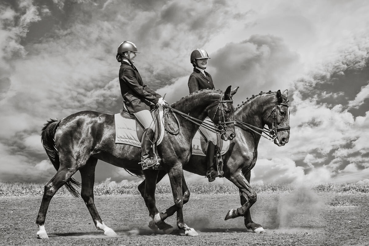 Выездка - SanSan 