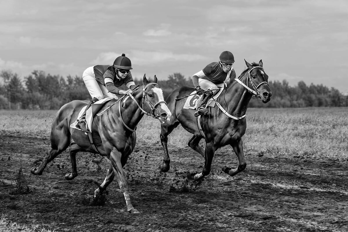 Скачки - SanSan 