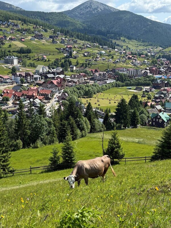 ... - Степан Карачко