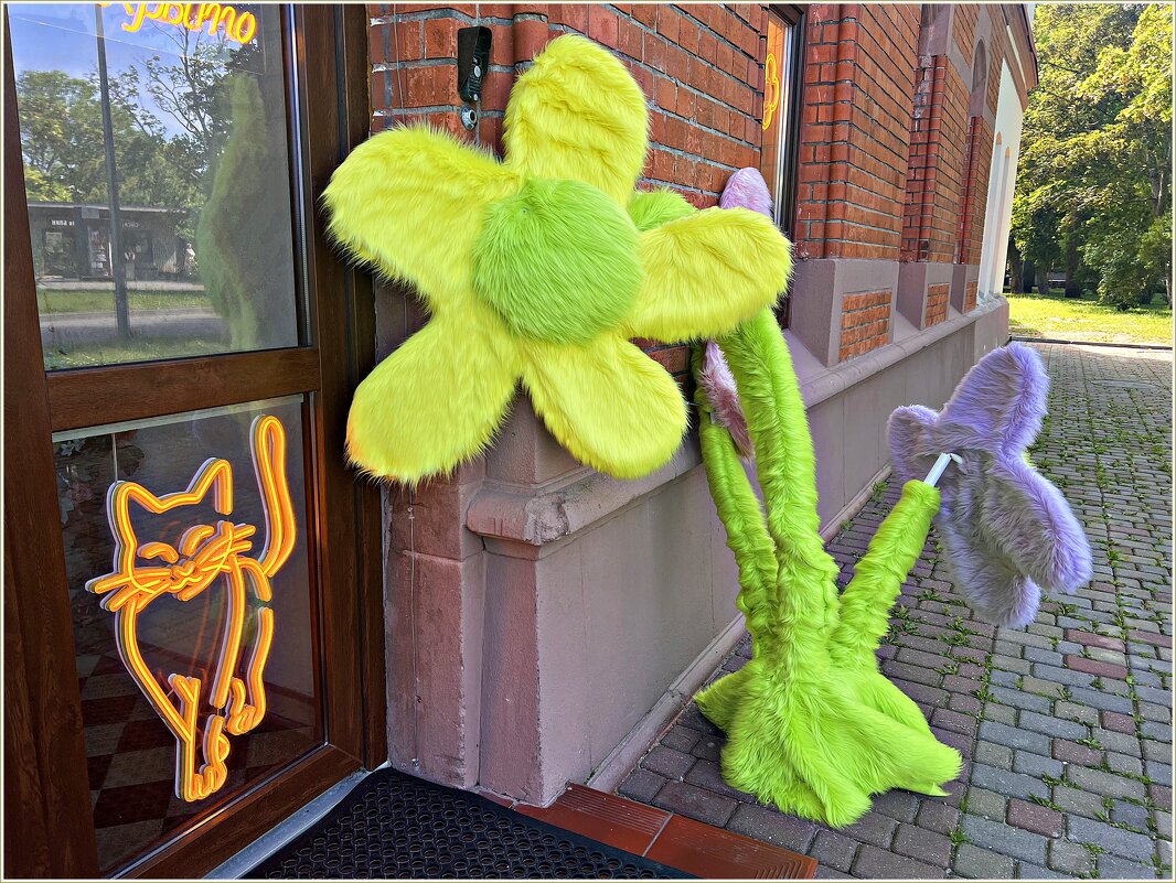 Цветы у магазина. - Валерия Комова Цветы у магазина. - Валерия Комова