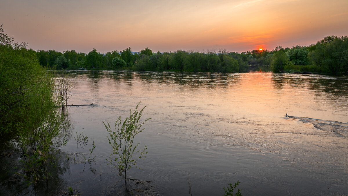 ... - Жора Житников ... - Жора Житников