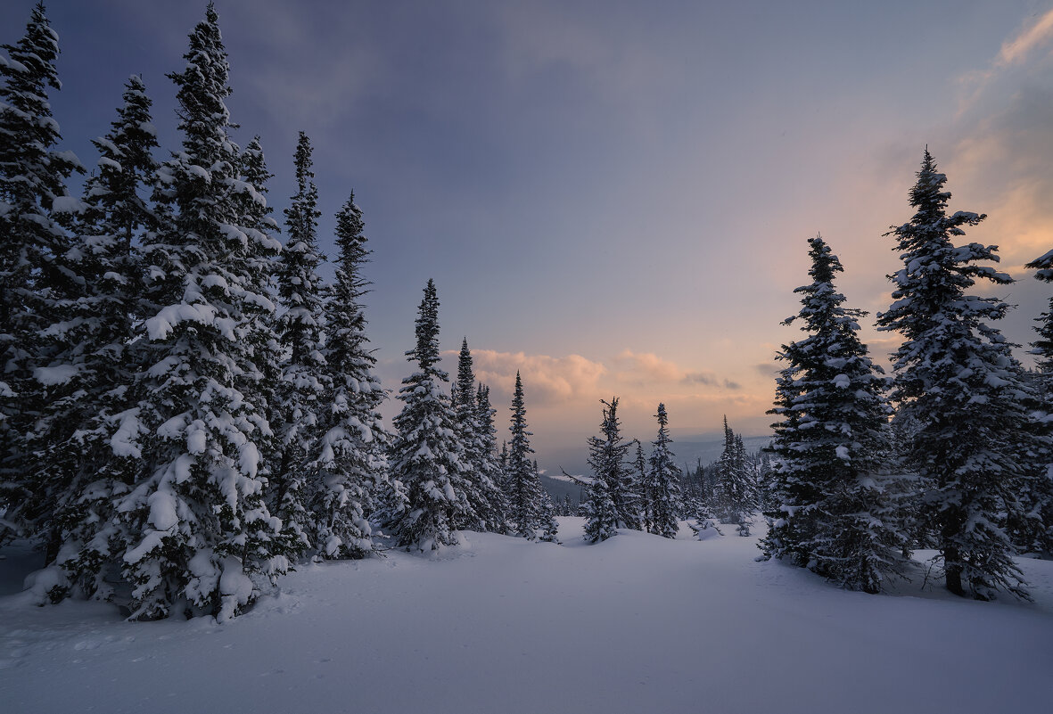 * - Александр Иванов * - Александр Иванов