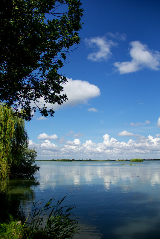 *** - Oksana Verkhoglyad