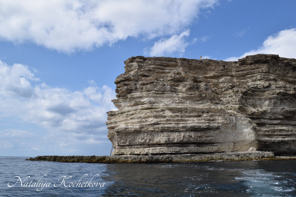 Природа Крыма - Amazing Cosmea