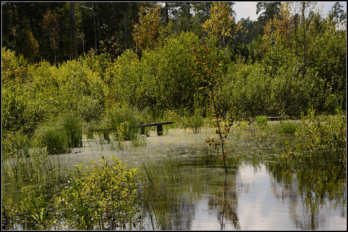 *** - Aleksandr Gal *** - Aleksandr Gal