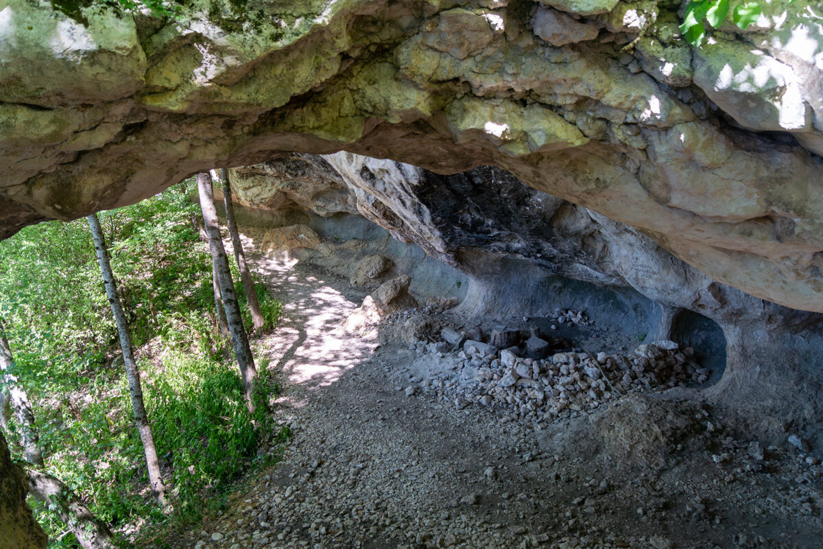 Поход в горы - Игорь Сикорский