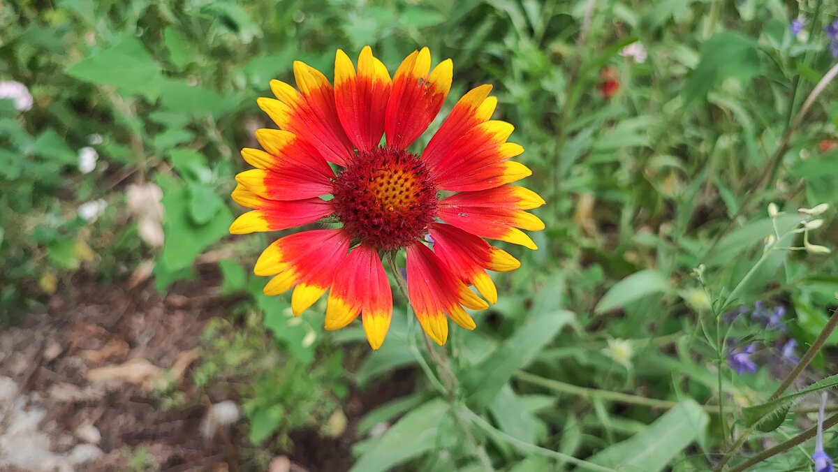 ,,, - Сергей Тимоновский