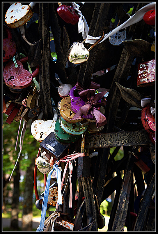 На дереве счастья - Владимир Кроливец