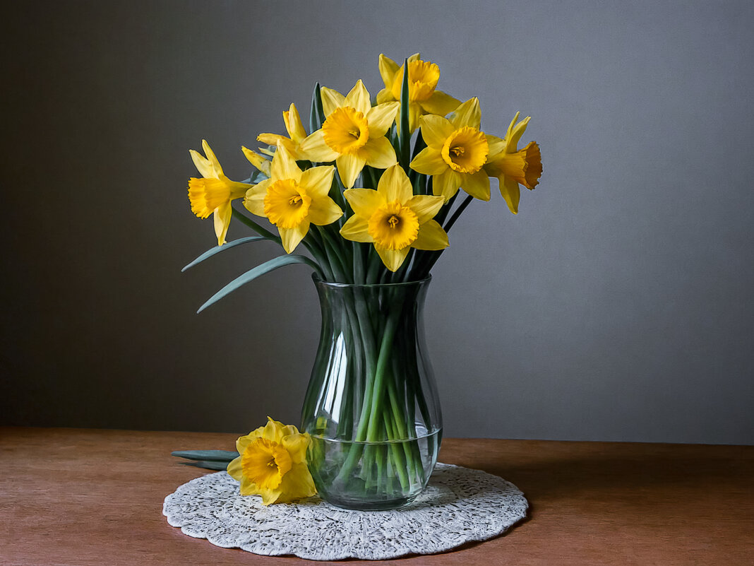 Нарциссы жёлтые - Aleksey Afonin