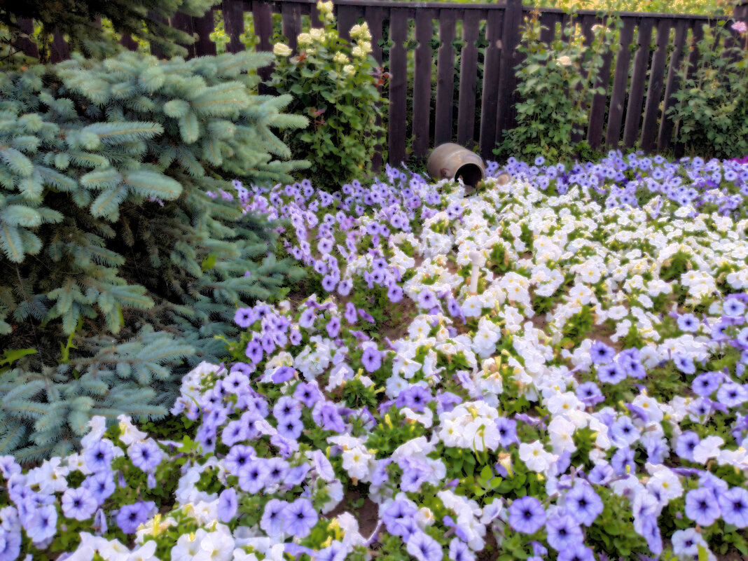 Разлитое молоко - liudmila drake