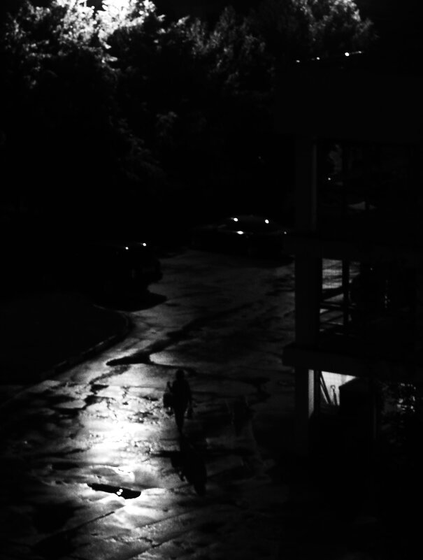 Одна. - Василий Палий