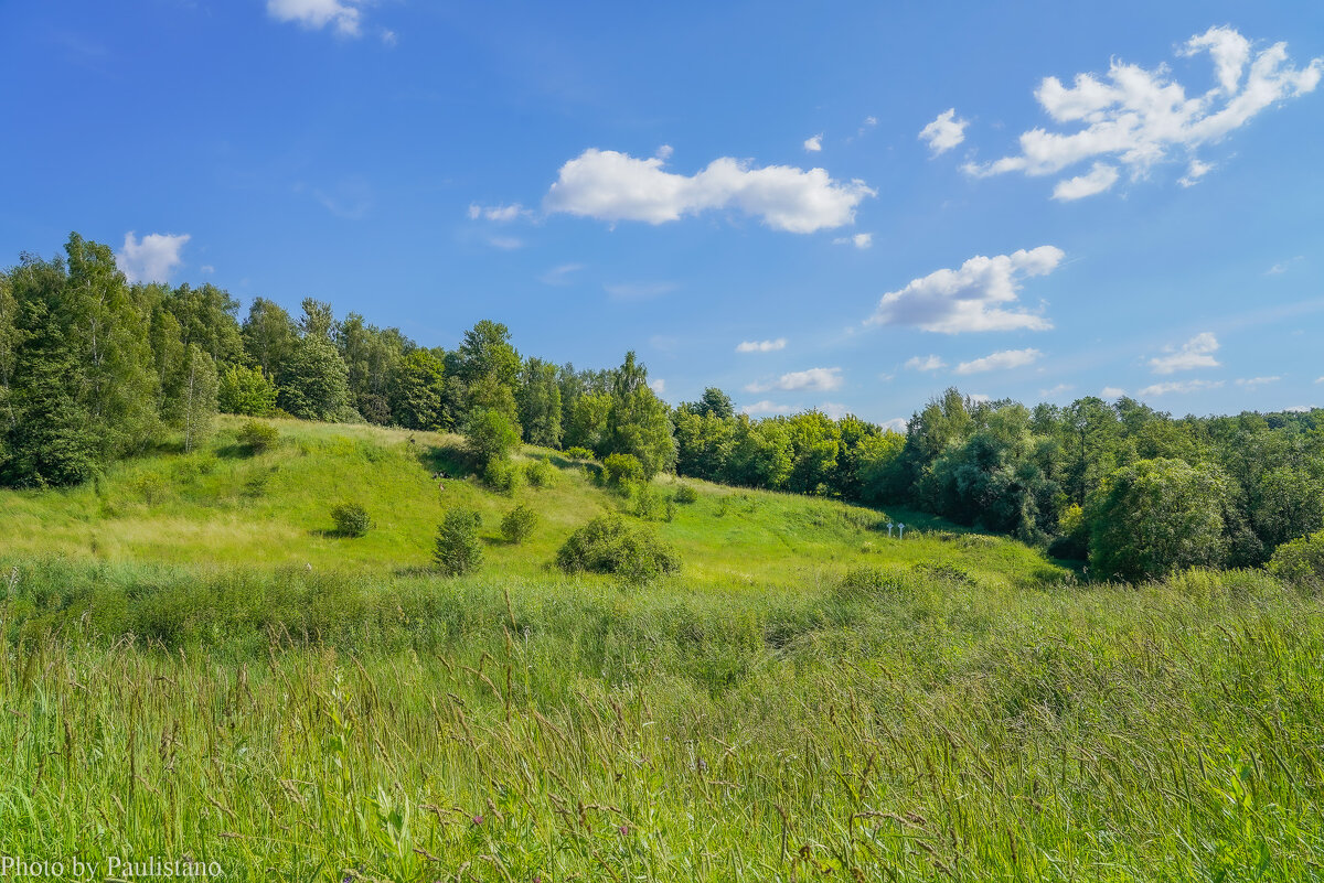 Июль в Царицыно... - Владимир Жданов