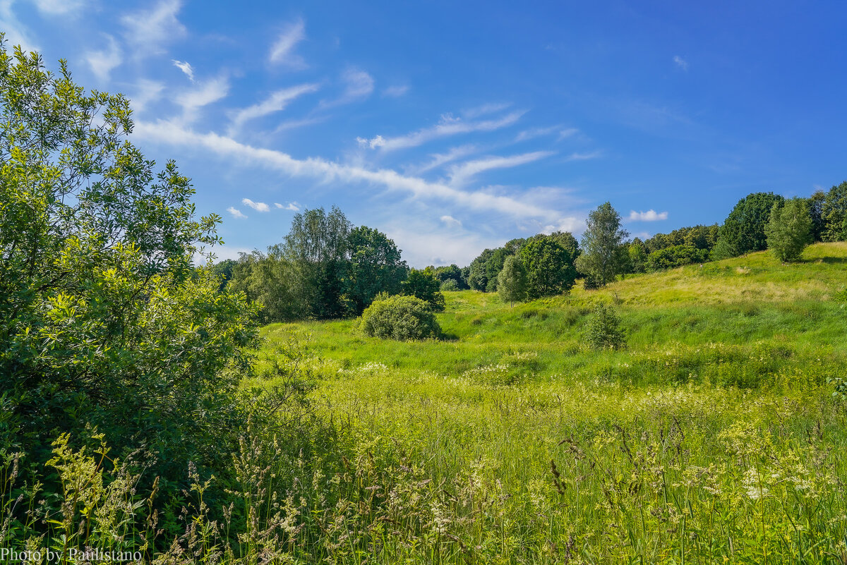Июль в Царицыно... - Владимир Жданов Июль в Царицыно... - Владимир Жданов