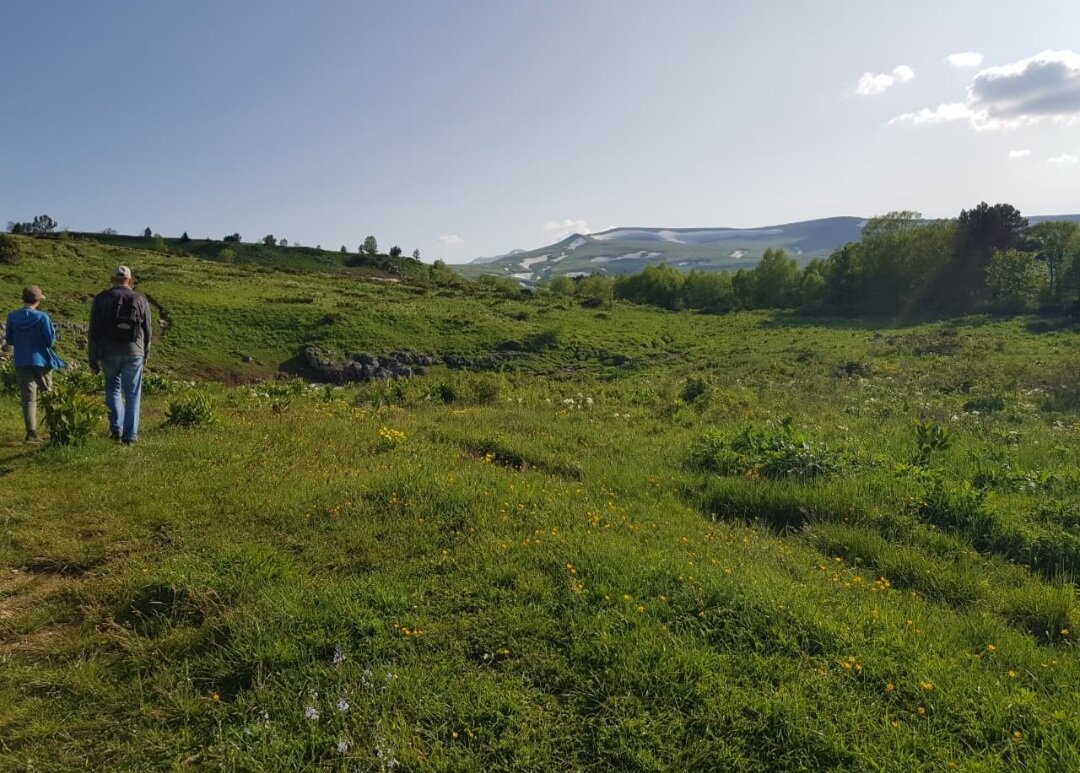 ПЛАТО ЛАГОНАКИ - Tata Wolf