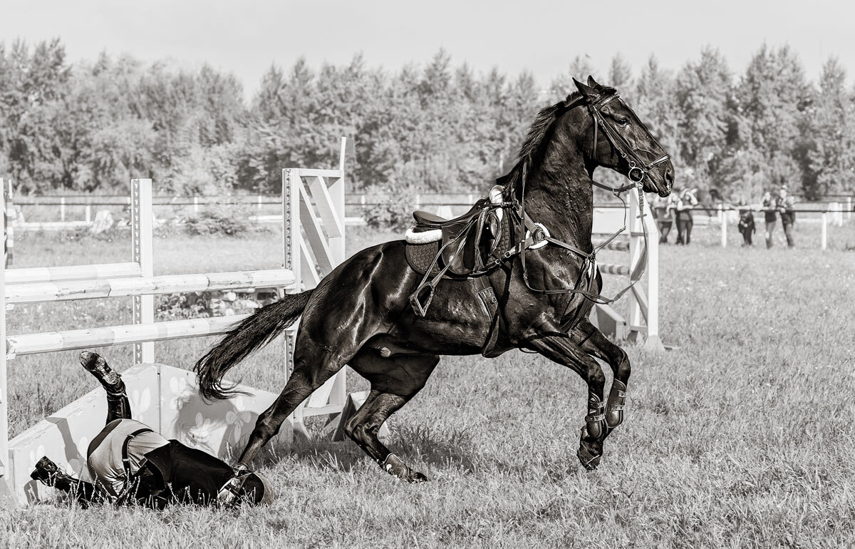 Конкур - SanSan 