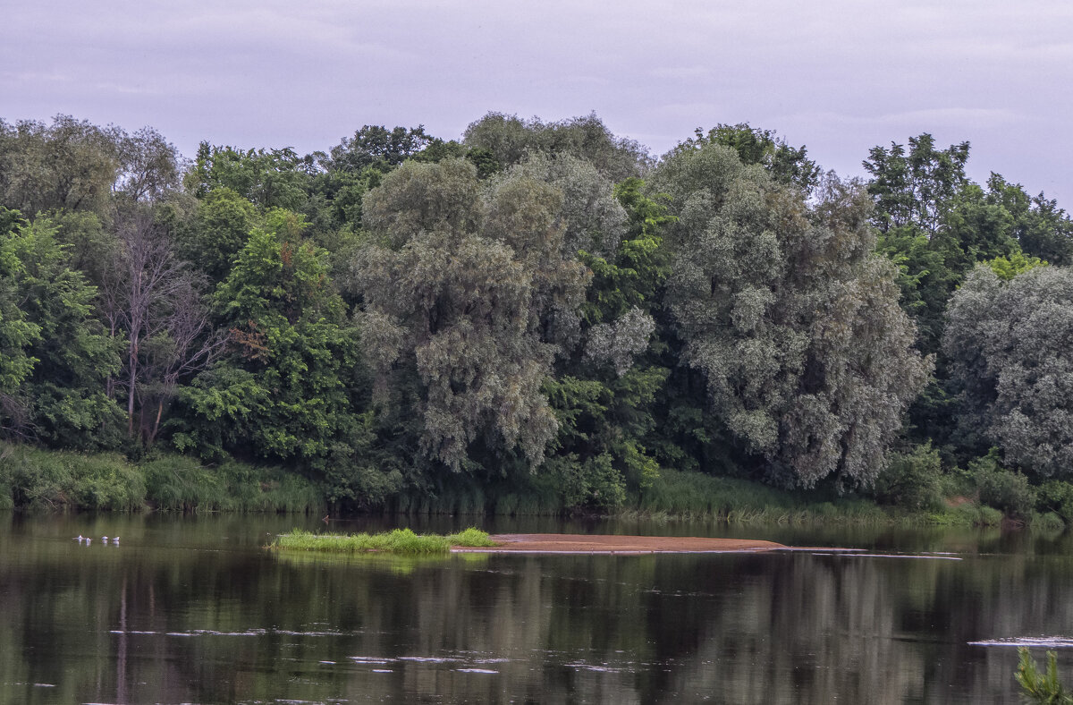 Утро на Клязьме - Сергей Цветков
