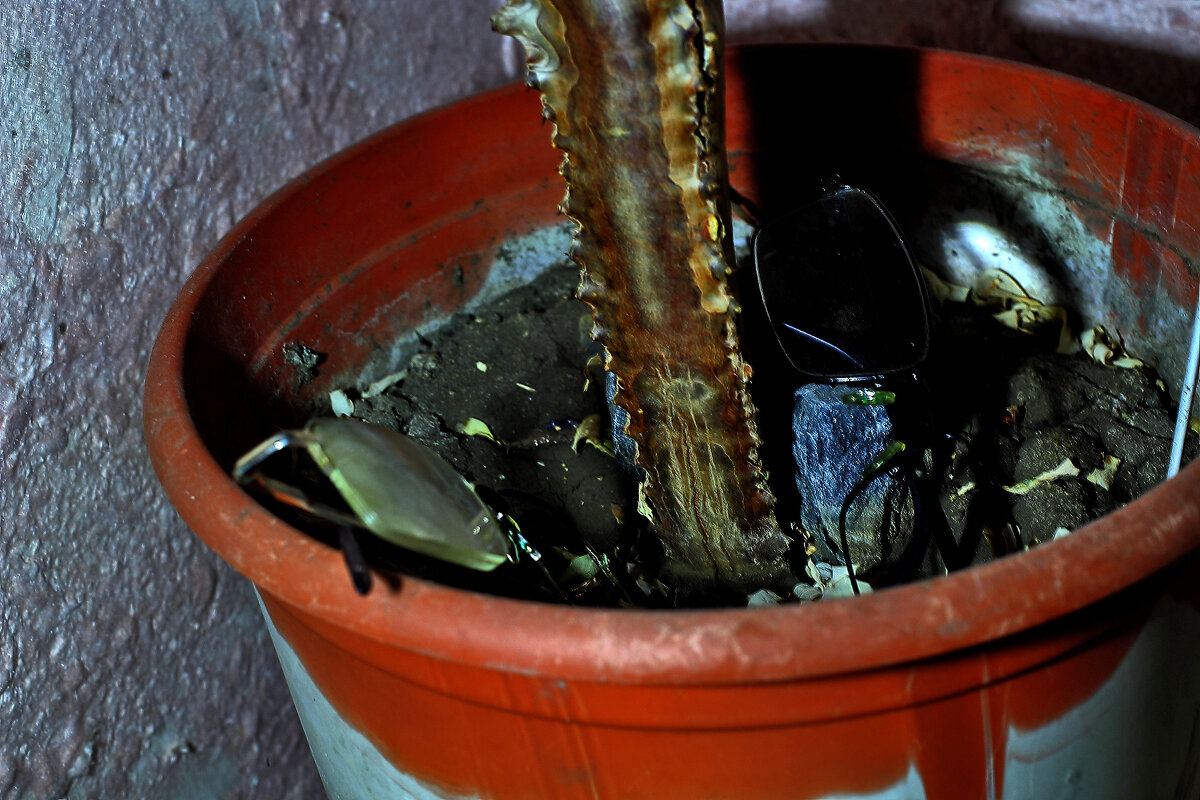 Разбитые очки - Юрий Гайворонскiий