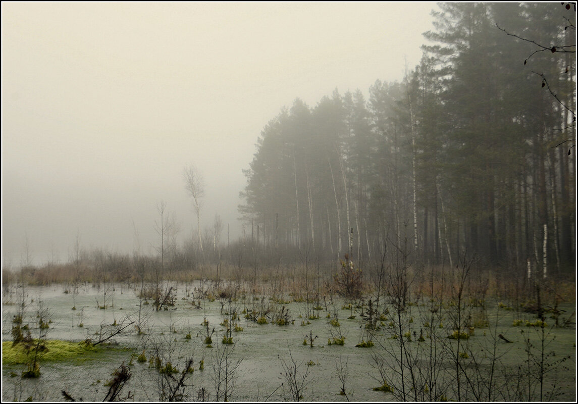 Пришел туман - Aleksandr Gal Пришел туман - Aleksandr Gal