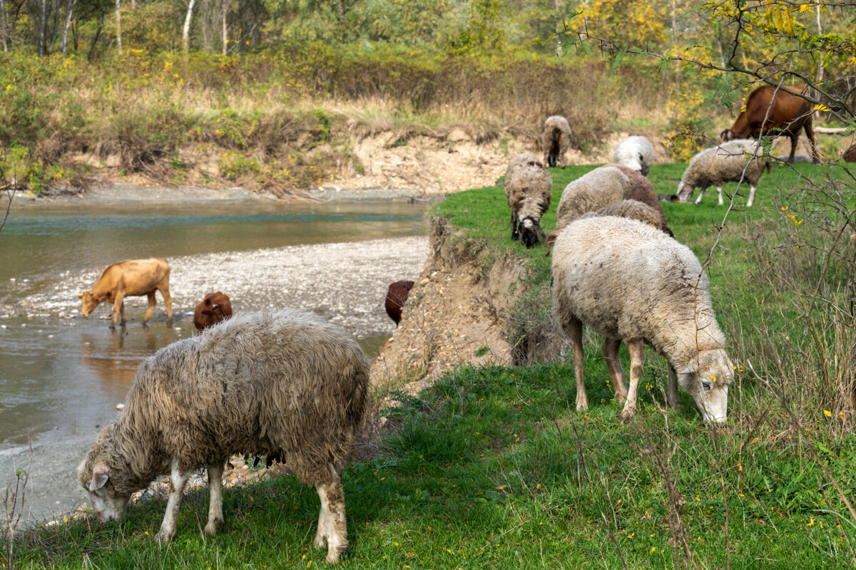 На берегу реки Уруп - Игорь Сикорский