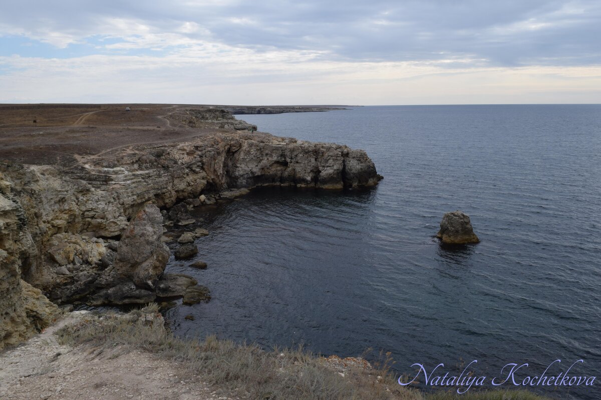 Природа Крыма - Amazing Cosmea