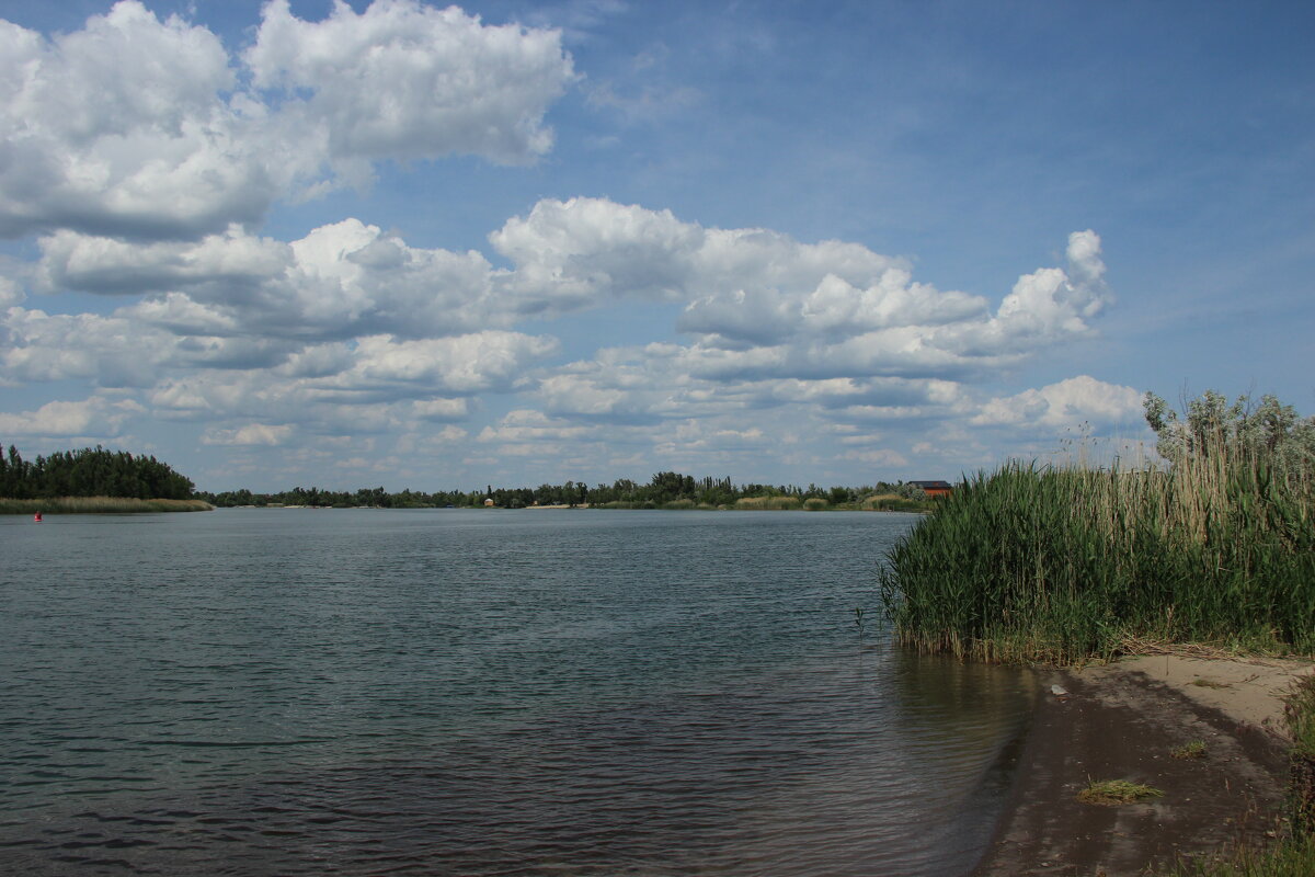 Донские виды. - Виктор 