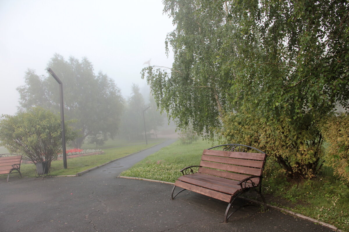 Туман - victor Lion