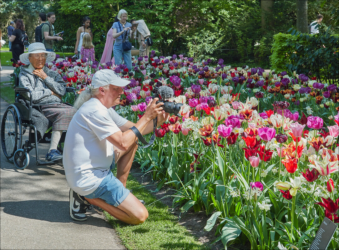 В кадре-краса природы! - Валерий Готлиб
